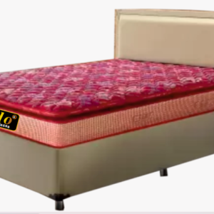 BACK CARE (PT) 6", 8"